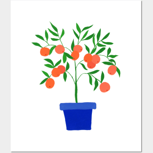 Little orange tree Posters and Art